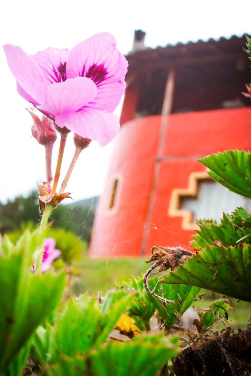 Samay Toa Hotel โอตาวาโล ภายนอก รูปภาพ